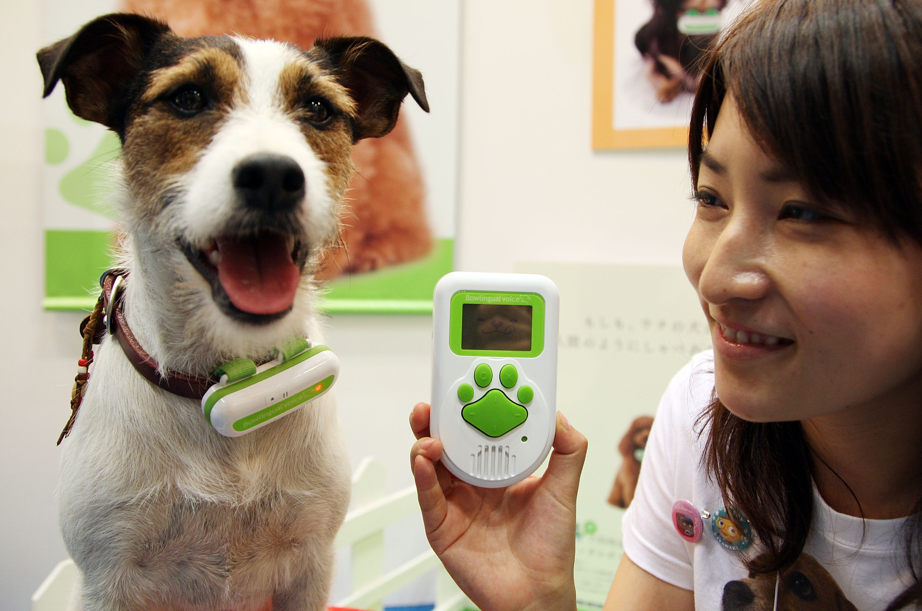 bowlingual dog bark translator